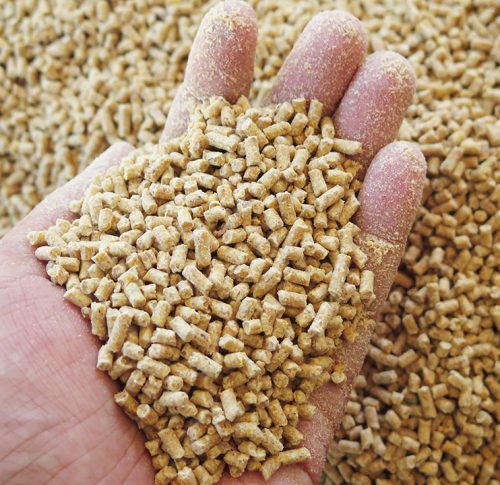 Animal feed review