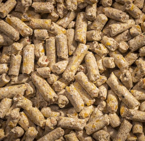modesto_milling_feed-5006_9400